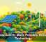 Sustainability Made Possible Through Technology
